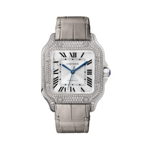 Cartier WJSA0014 Santos de Cartier Sunray-Effect Dial Medium